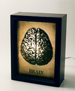 Brain Lightbox