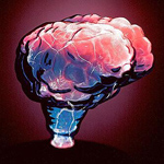 Plasma Brain Lamp