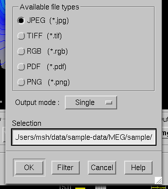 File type selection in the image saving dialog