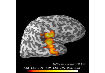 ../_images/sphx_glr_plot_dics_source_power_thumb.png