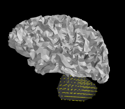 ../../_images/sphx_glr_plot_left_cerebellum_volume_source_001.png